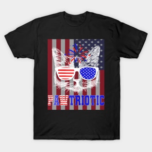 American Patriotic Cat Pawtriotic 4th July American Flag T-Shirt